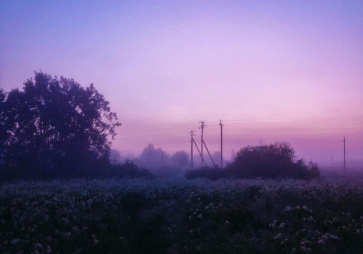 冷门提醒：遇到“黑料网址”这类词，先做这一步：先查来源再转发