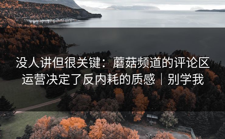 没人讲但很关键:蘑菇频道的评论区运营决定了反内耗的质感|别学我 没人讲但很关键:蘑菇频道的评论区运营决定了反内耗的质感|别学我