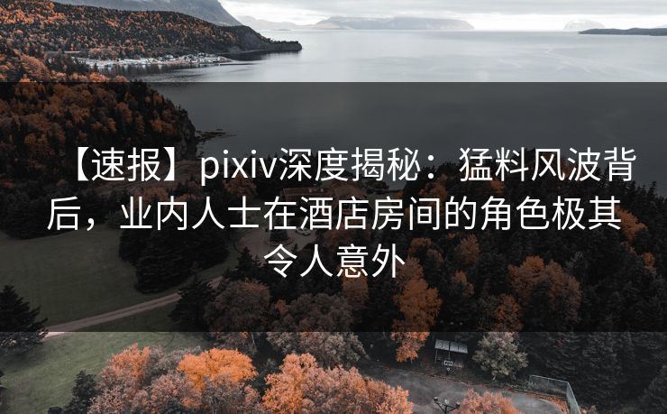 【速报】pixiv深度揭秘：猛料风波背后，业内人士在酒店房间的角色极其令人意外